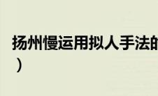 扬州慢运用拟人手法的句子（拟人手法的句子）