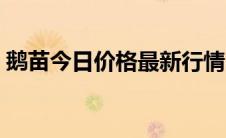鹅苗今日价格最新行情（鹅苗价格最新行情）