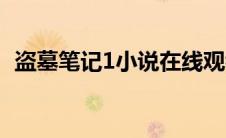 盗墓笔记1小说在线观看（盗墓笔记1小说）