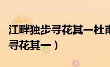 江畔独步寻花其一杜甫带拼音朗读（江畔独步寻花其一）