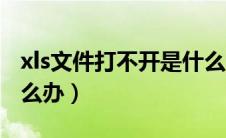 xls文件打不开是什么原因（xls文件打不开怎么办）