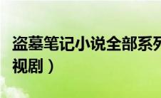 盗墓笔记小说全部系列（盗墓笔记拍了几部电视剧）