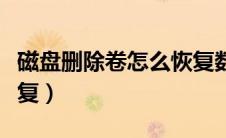 磁盘删除卷怎么恢复数据（磁盘删除卷怎么恢复）