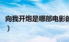 向我开炮是哪部电影的（向我开炮是哪部电影）