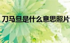 刀马旦是什么意思照片（刀马旦是什么意思）