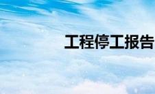 工程停工报告（停工报告）