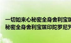 一切如来心秘密全身舍利宝箧印陀罗尼咒感应（一切如来心秘密全身舍利宝箧印陀罗尼咒）