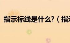 指示标线是什么?（指示标线的作用是什么）