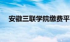 安徽三联学院缴费平台官网（安徽三联）