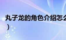 丸子龙的角色介绍怎么写（丸子龙的角色介绍）