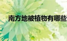 南方地被植物有哪些（地被植物有哪些）