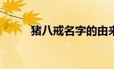 猪八戒名字的由来（名字的由来）