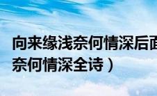 向来缘浅奈何情深后面两句是什么（向来缘浅奈何情深全诗）