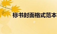 标书封面格式范本（标书封面格式）