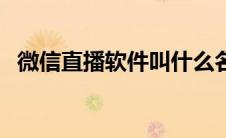 微信直播软件叫什么名字（微信直播软件）