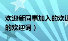 欢迎新同事加入的欢迎词语（欢迎新同事加入的欢迎词）