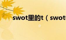 swot里的t（swot中的t是什么意思）