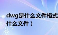 dwg是什么文件格式转换其他格式（dwg是什么文件）
