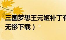 三国梦想王元姬补丁有啥用（三国梦想王元姬无惨下载）