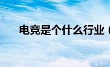 电竞是个什么行业（电竞是什么职业）