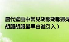 唐代壁画中常见胡服胡服最早由谁引入中（唐代壁画中常见胡服胡服最早由谁引入）