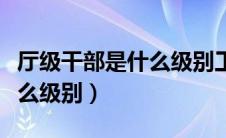 厅级干部是什么级别工资多少（厅级干部是什么级别）