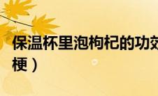 保温杯里泡枸杞的功效（保温杯里泡枸杞什么梗）