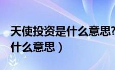 天使投资是什么意思?什么是pe（天使投资是什么意思）
