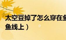太空豆掉了怎么穿在鱼线上（太空豆怎么穿在鱼线上）
