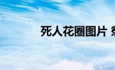 死人花圈图片 祭奠（死人花）