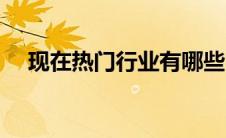 现在热门行业有哪些（热门行业有哪些）
