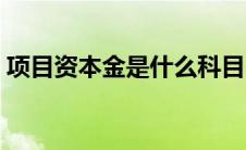 项目资本金是什么科目（项目资本金是什么）