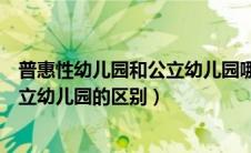 普惠性幼儿园和公立幼儿园哪一个待遇好（普惠幼儿园和公立幼儿园的区别）