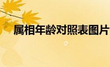 属相年龄对照表图片（属相年龄对照表）