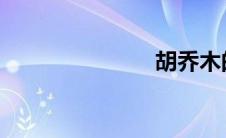 胡乔木的无耻