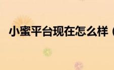 小蜜平台现在怎么样（小蜜在线补单平台）