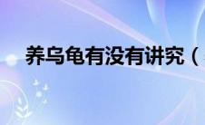养乌龟有没有讲究（养乌龟有什么禁忌）