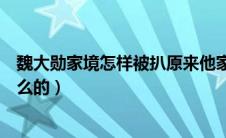 魏大勋家境怎样被扒原来他家这么有钱（魏大勋家里是干什么的）