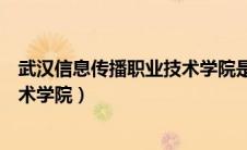 武汉信息传播职业技术学院是公办吗（武汉信息传播职业技术学院）