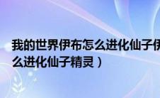 我的世界伊布怎么进化仙子伊布（我的世界神奇宝贝伊布怎么进化仙子精灵）
