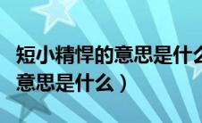短小精悍的意思是什么生肖动物（短小精悍的意思是什么）