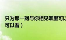 只为那一刻与你相见哪里可以看（只为那一刻与你相见在哪可以看）