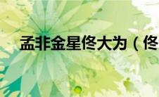 孟非金星佟大为（佟大为孟非综艺节目）