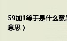 59加1等于是什么意思5（59加1等于是什么意思）