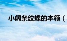 小阔条纹蝶的本领（小阔条纹蝶的资料）