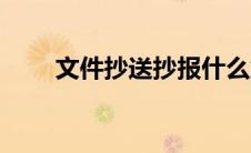 文件抄送抄报什么意思（文件抄送）