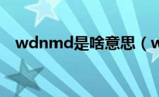 wdnmd是啥意思（wdnmd是什么意思）