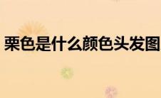 栗色是什么颜色头发图片（栗色是什么颜色）