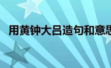 用黄钟大吕造句和意思（用黄钟大吕造句）