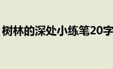 树林的深处小练笔20字（树林的深处小练笔）